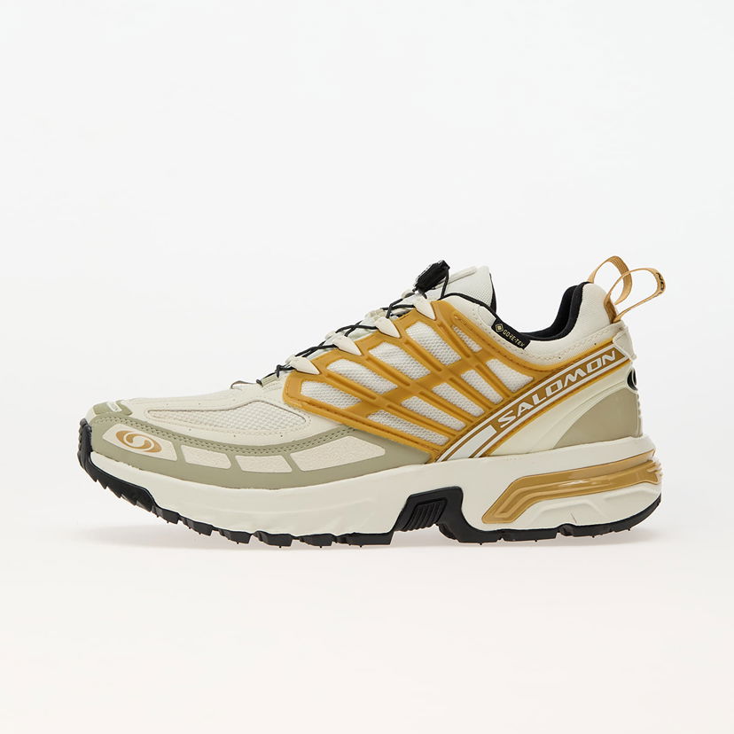 Кросівки та взуття Salomon ACS Pro GTX Icicle/ Antelope/ Tea Зелений | L47599800