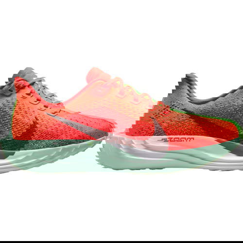Кросівки та взуття Nike Pegasus Plus Червоний | FQ7261