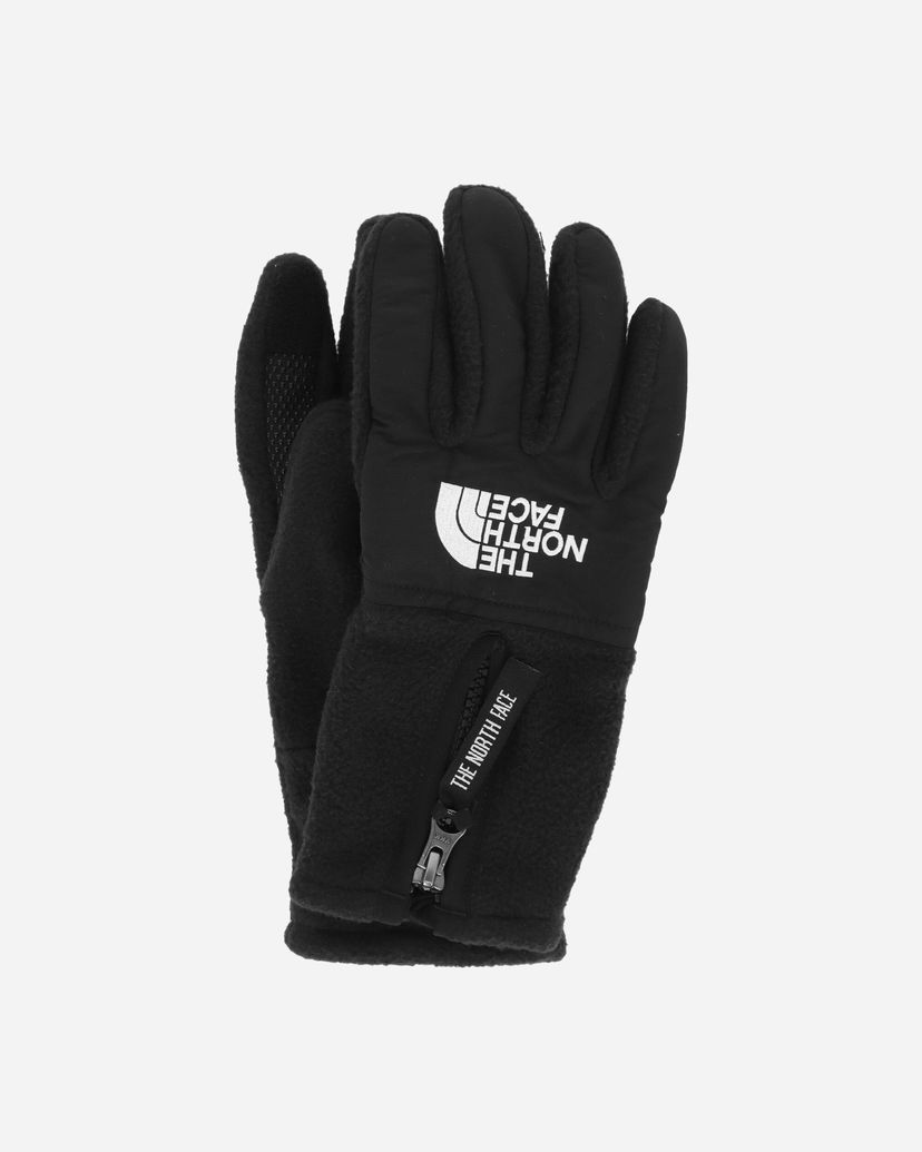 Рукавички The North Face Etip Gloves чорний | NF0A888S JK3