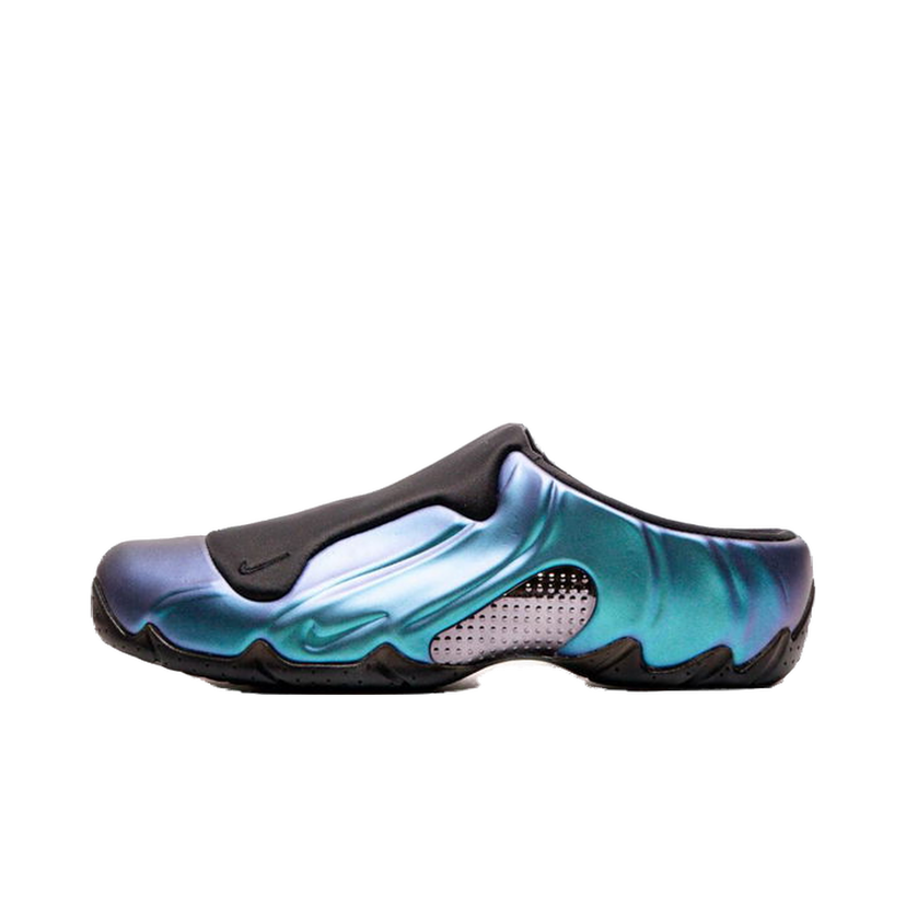 Кросівки та взуття Nike Clogposite Різнокольоровий | HJ4478-001