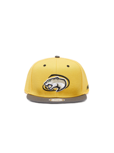 Кепка Puma x Hometown Heroes Basketball FB Cap Spectra Жовтий | 02369402