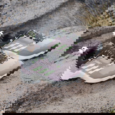 Кросівки та взуття adidas Performance adidas TERREX BOTY TERREX SWIFT R3 GORE-TEX Сірий | IE5071, 4