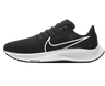 Air Zoom Pegasus