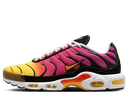 Категорія Air Max Plus